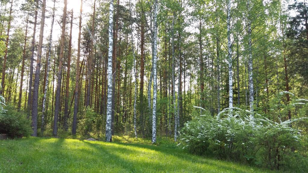 Marina Holiday Rauhan Village Apartments Imatra Buitenkant foto